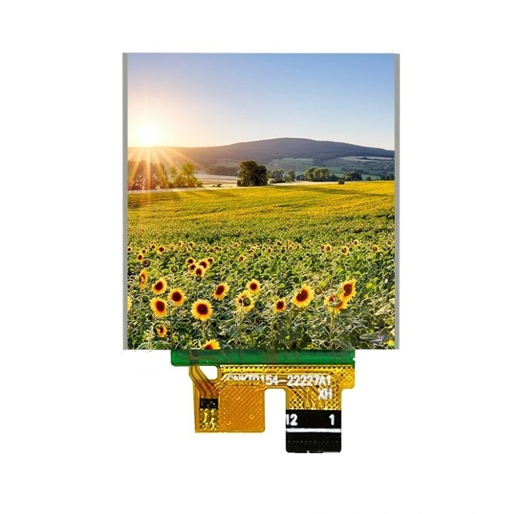 1.54 inch tft LCD ostentationem
