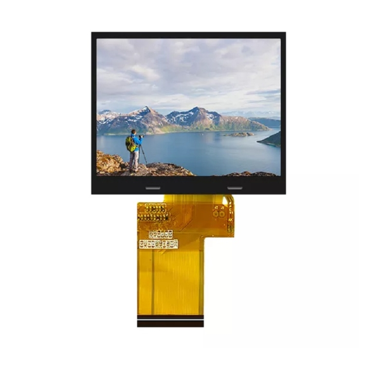 3,95 inch 480x480 tft ostentationem