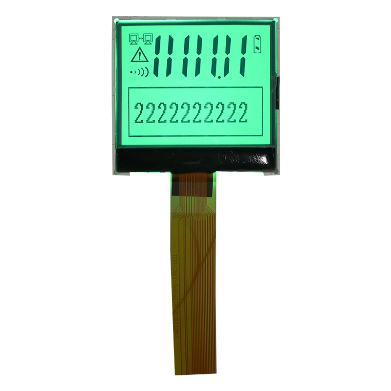 Graphic et segmentum LCD Display OMNIBUS LCM